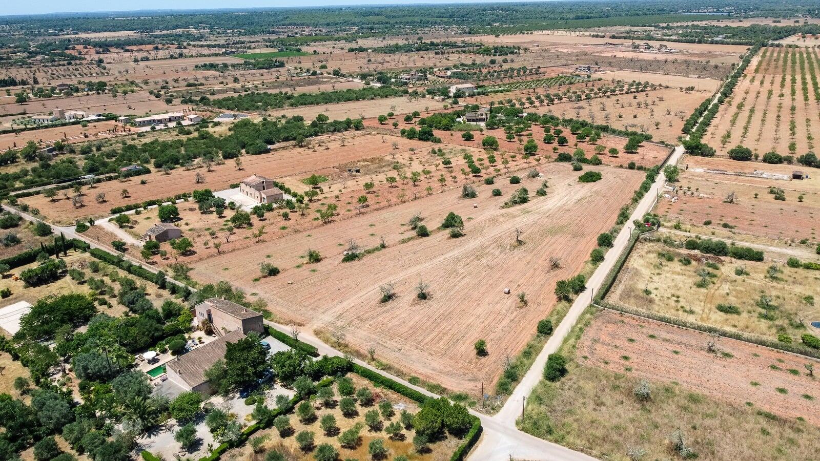 Plot with approved house and pool project — Es Revellar · Campos