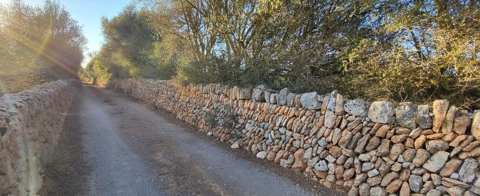 Farmland close to Ses Salines — Camí de Na Verdal · Ses Salines