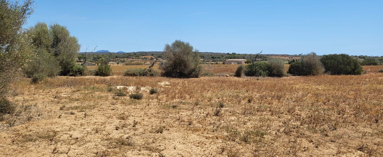 Farmland close to Ses Salines — Photograph 3